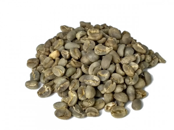 Aceh Gayo